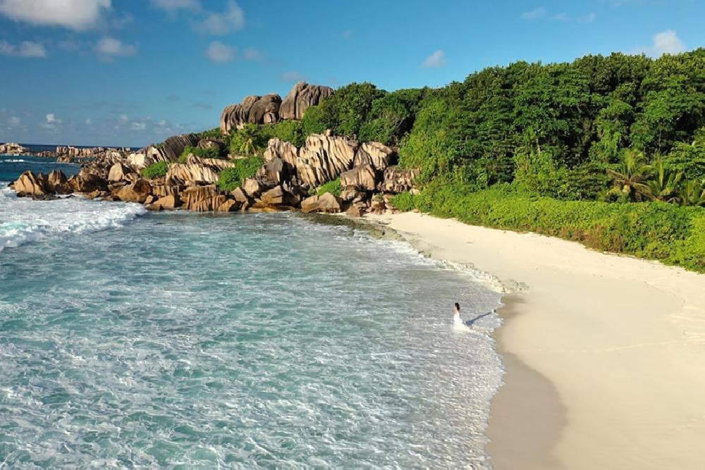 Seychelles Is A Tropical Country With Limited Mosquito Species