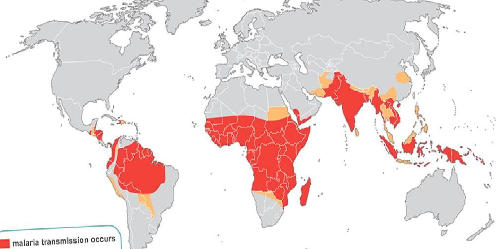 The Importance Of Understanding The Geographic Distribution Of Mosquitoes