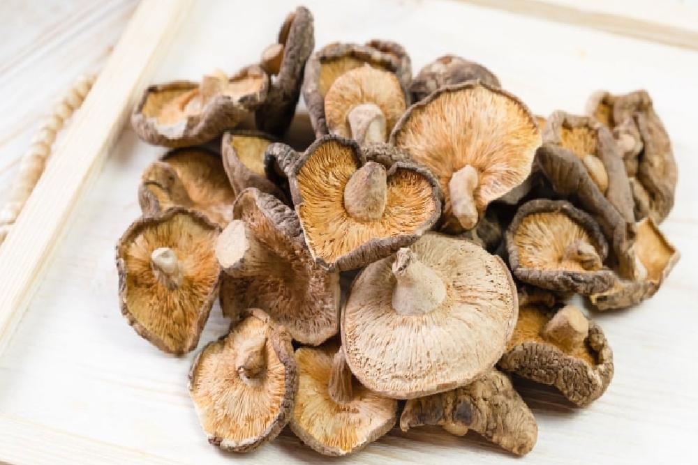 Mushrooms Produce Vitamin D