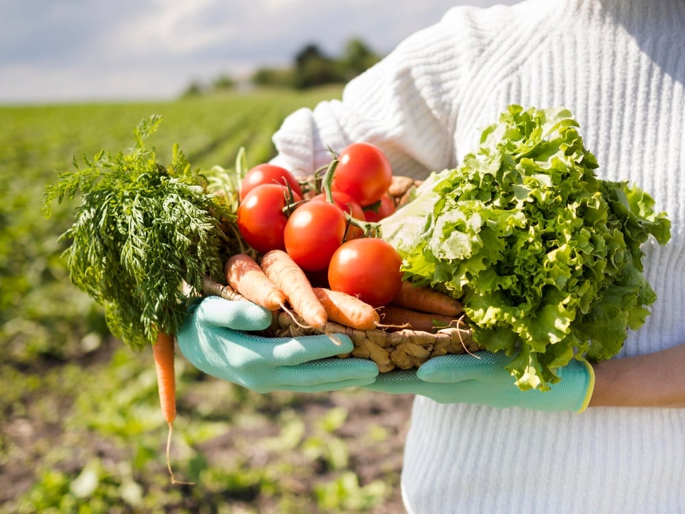 Organic Farming Methods Cost More